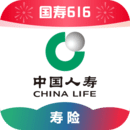 蛋神传说动画片